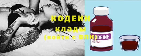 дживик Гусь-Хрустальный
