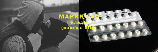 трава Гусев