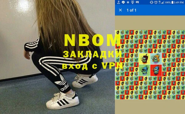 стаф Дмитриев