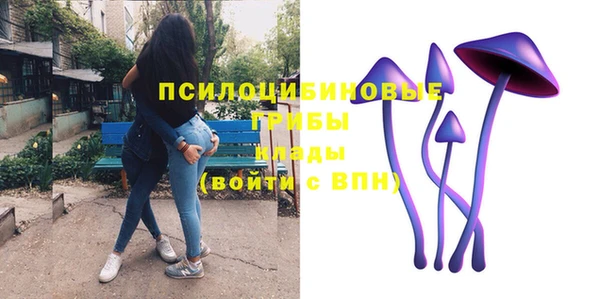 дживик Гусь-Хрустальный
