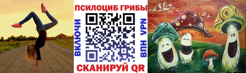 дарк нет формула  Миасс  Псилоцибиновые грибы ЛСД  как найти  